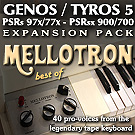 Yamaha Exapnsion Pack MELLOTRON